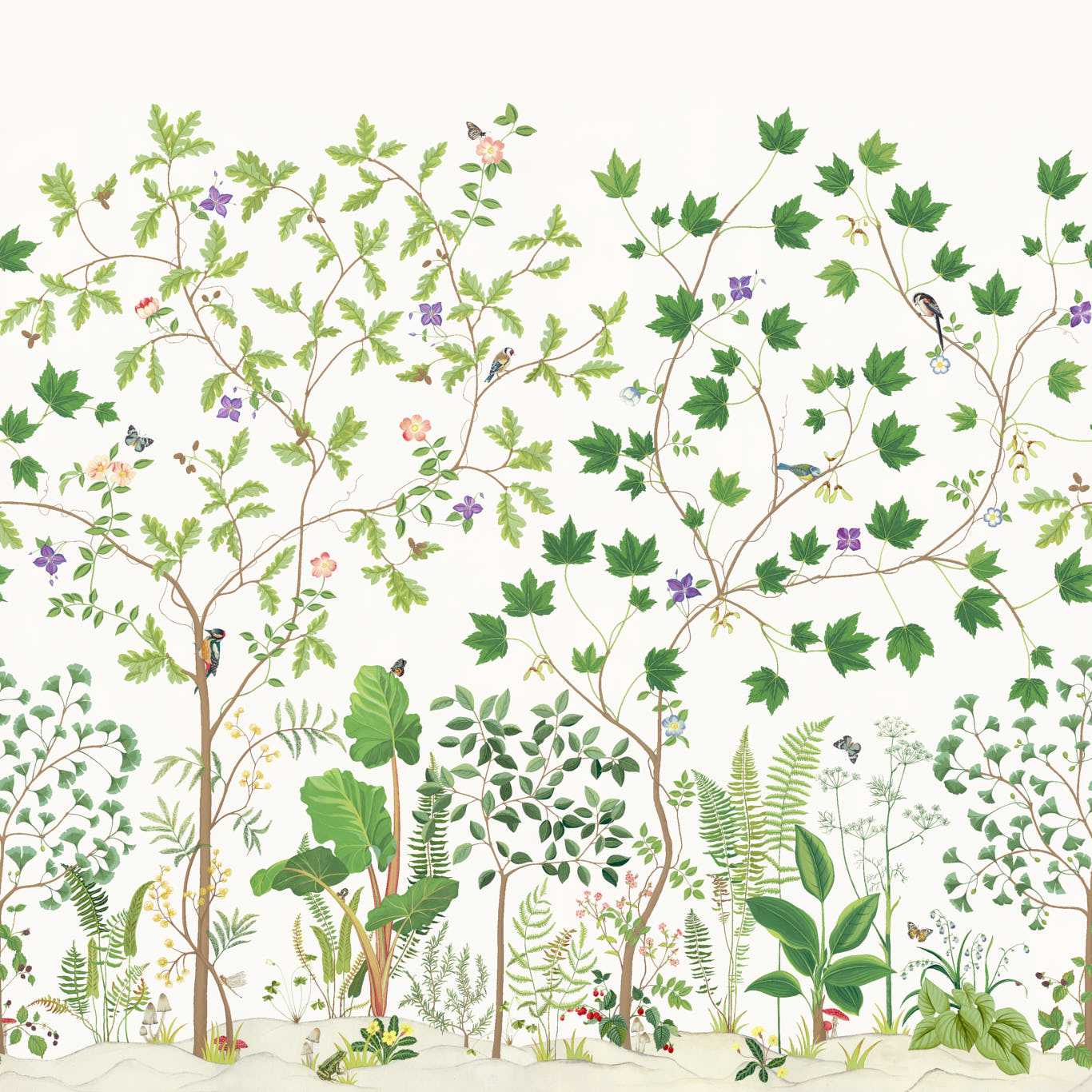 Sycamore And Oak 217211